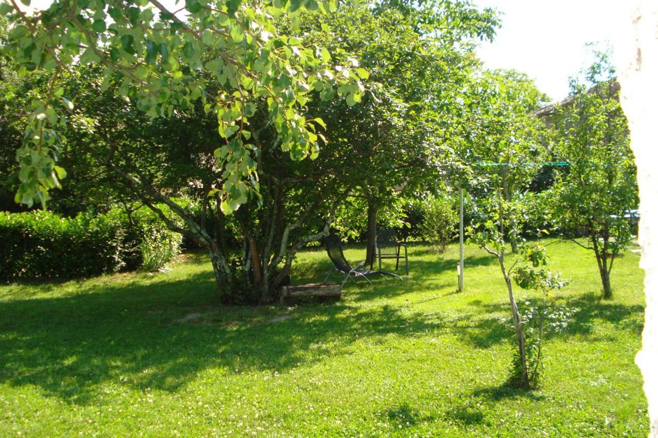 Apartmani Aldo Roč Zewnętrze zdjęcie